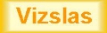 Vizsla